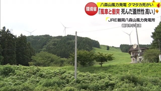 周辺には衝突するものがない