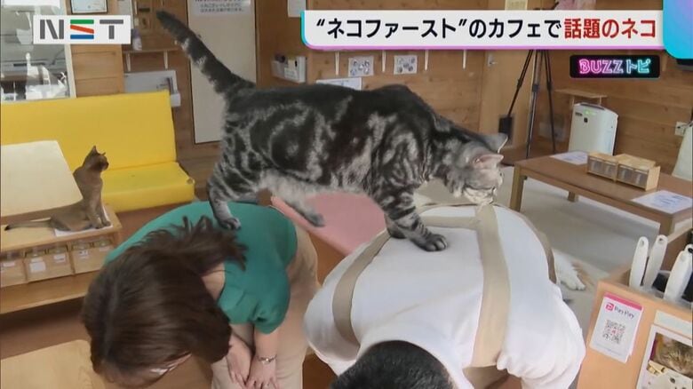 背中の上を歩くメイちゃん