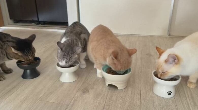 撮影：出口クリスタ選手