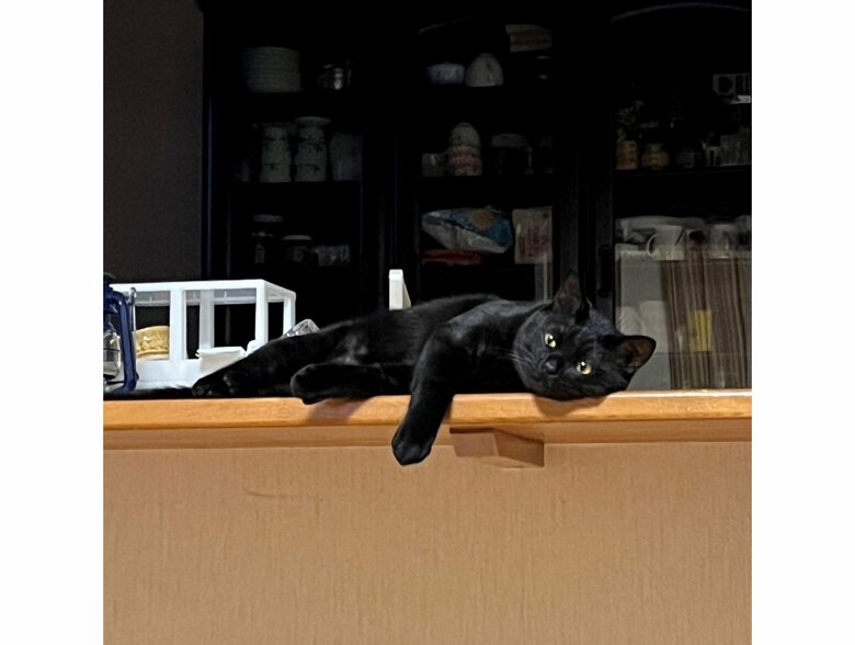 キッチンでぐったり（提供：サラミさん）