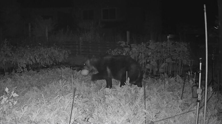 いざという時に迅速に対応できるのか―