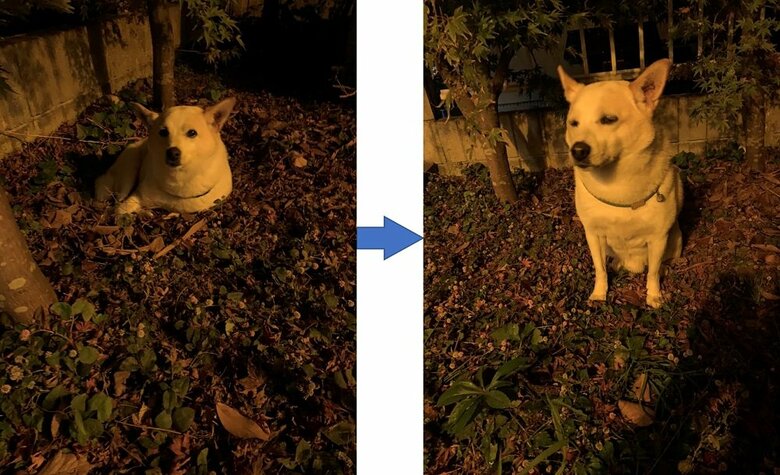 おやつを持っていったら出てきた