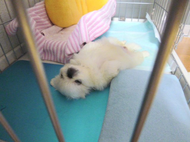 提供：うにたんさん
