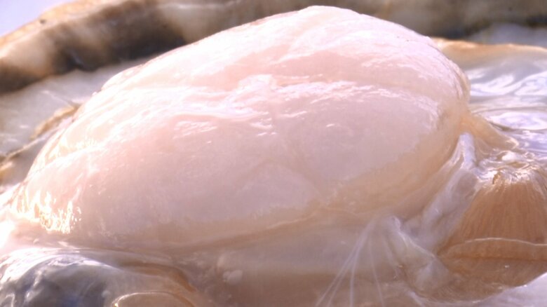 肉厚で甘味が強い三陸のホタテ