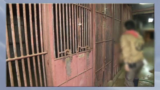 （資料：2017年撮影）　扉が開いたままの状態でライオンを入れてしまった