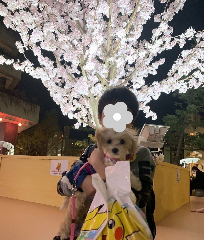 家族となってから半年頃のみるくちゃん