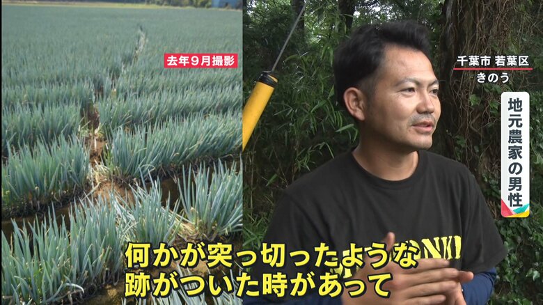 “イノシシの被害”に遭った地元農家の男性