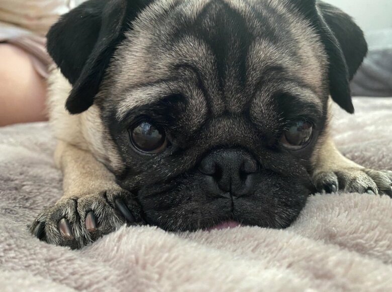 提供：ボンさん