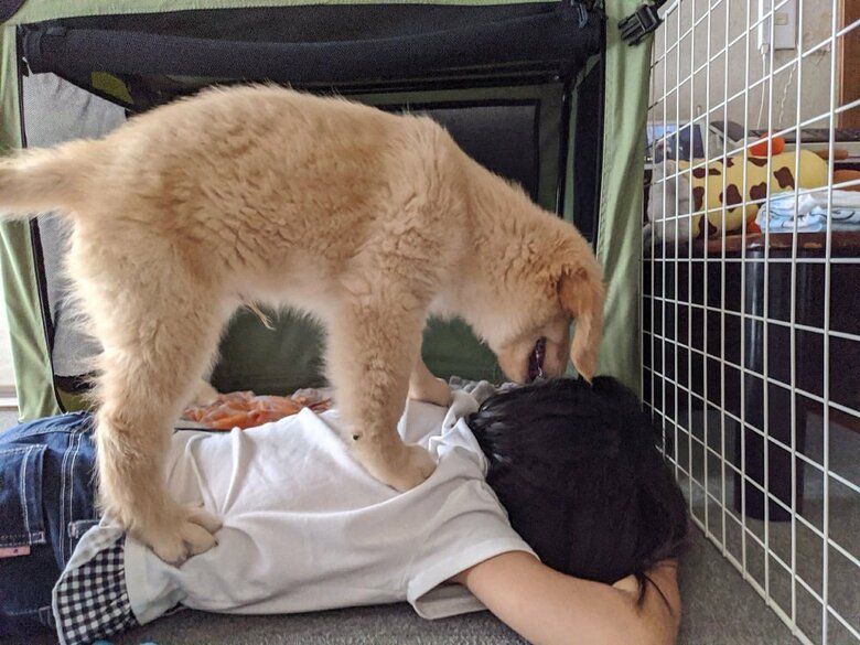 遠慮がない関係