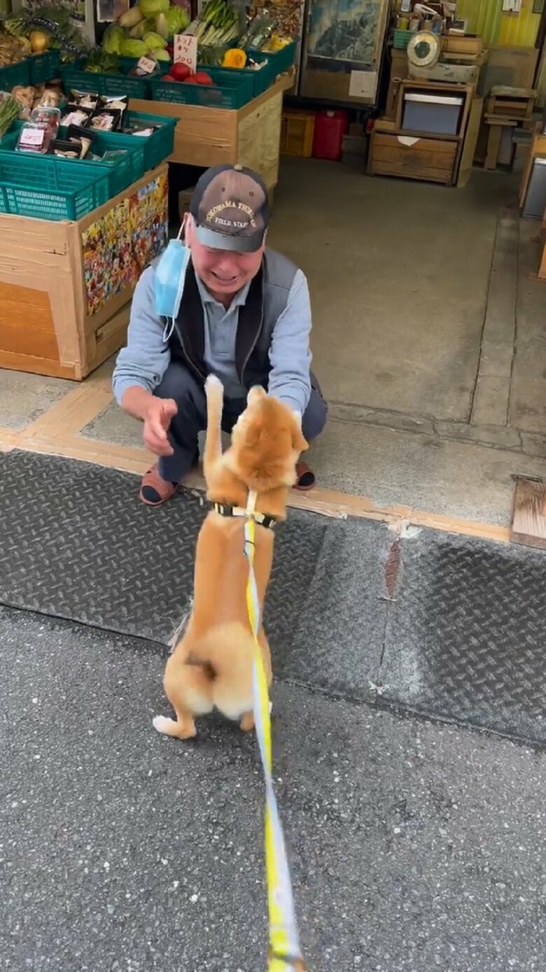 しかし、マメちゃんの大好き攻撃は止まらない。なでるのをやめないで！と鳴く