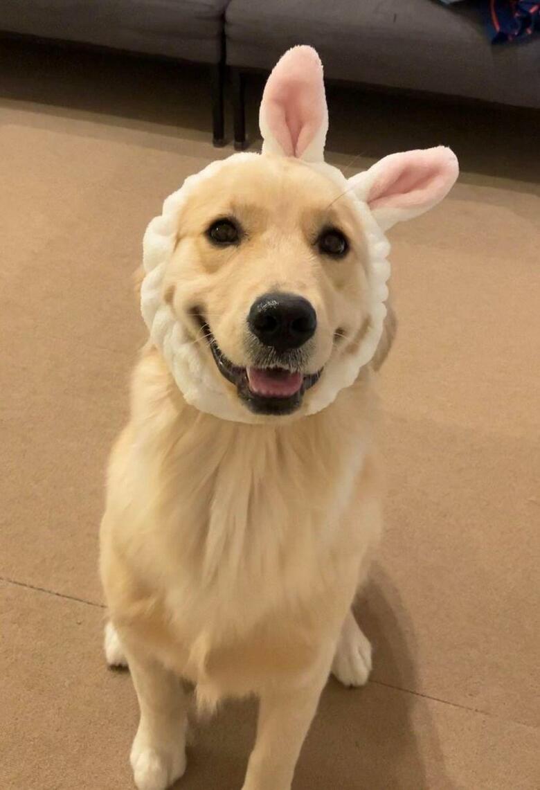 提供：エマさん