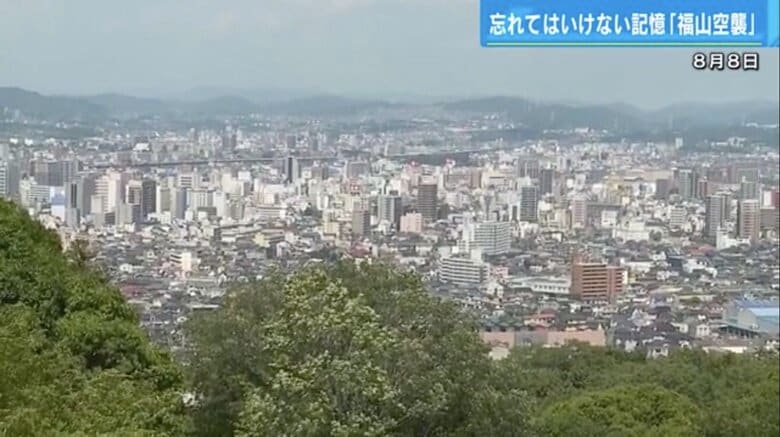 展望台から一望した福山市街