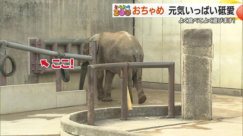 砥愛ちゃんが遊ぶ手すり