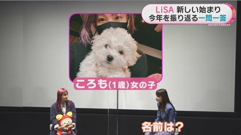 何度「お座り」と言っても、クルクル転がってしまうのだとか