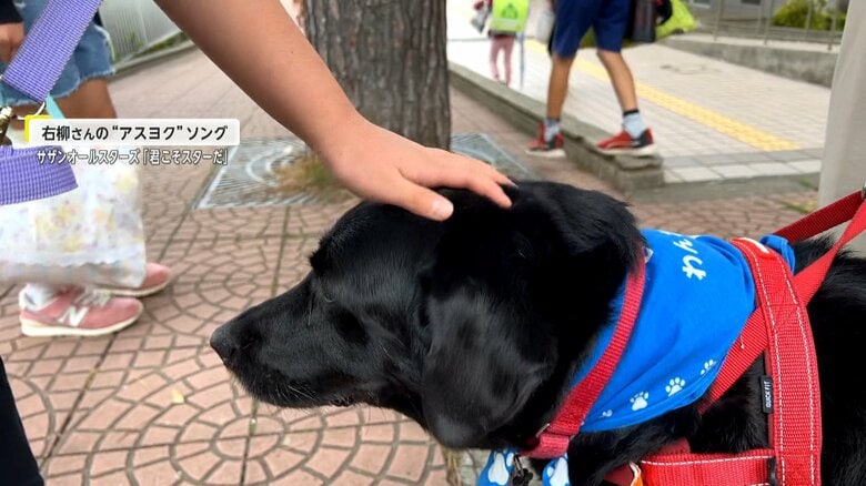 右柳さんの愛犬・ベリーちゃん