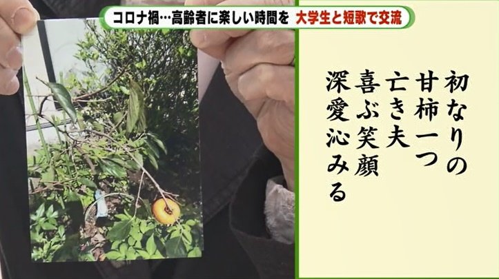 亡き夫の植えた柿の木を詠んだ人