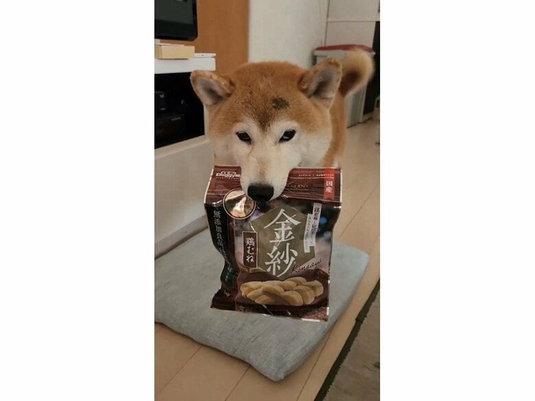 開けてちょうだい？