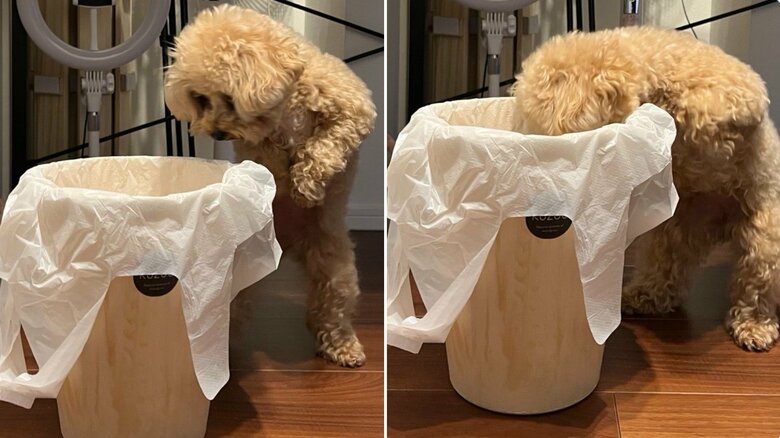 最終的には、人間のような体勢に