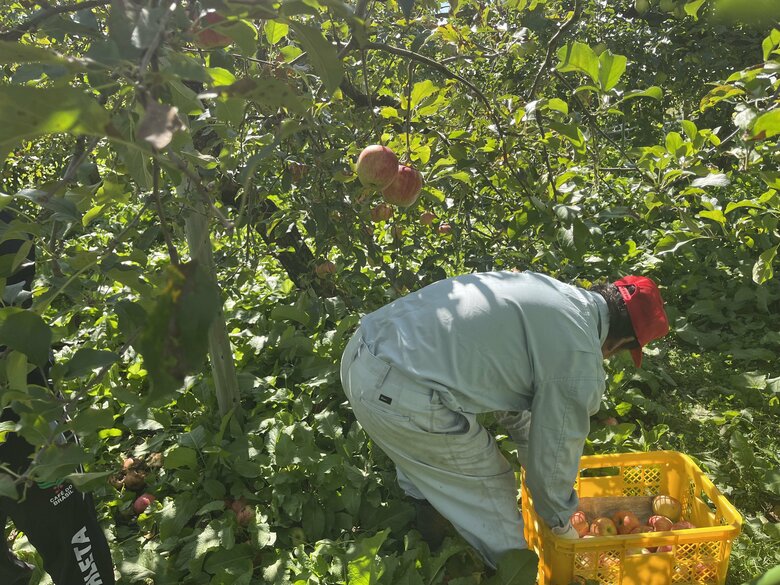 施設利用者に働く場をつくる