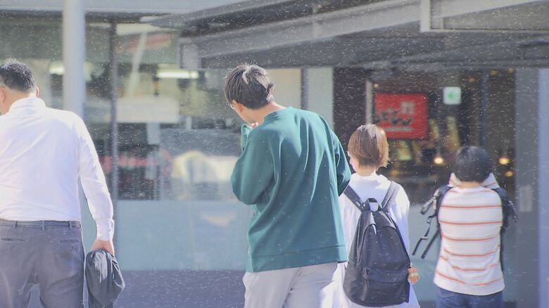 大量に飛び交う「雪虫