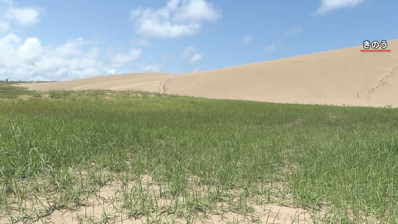 メインエリアの西側