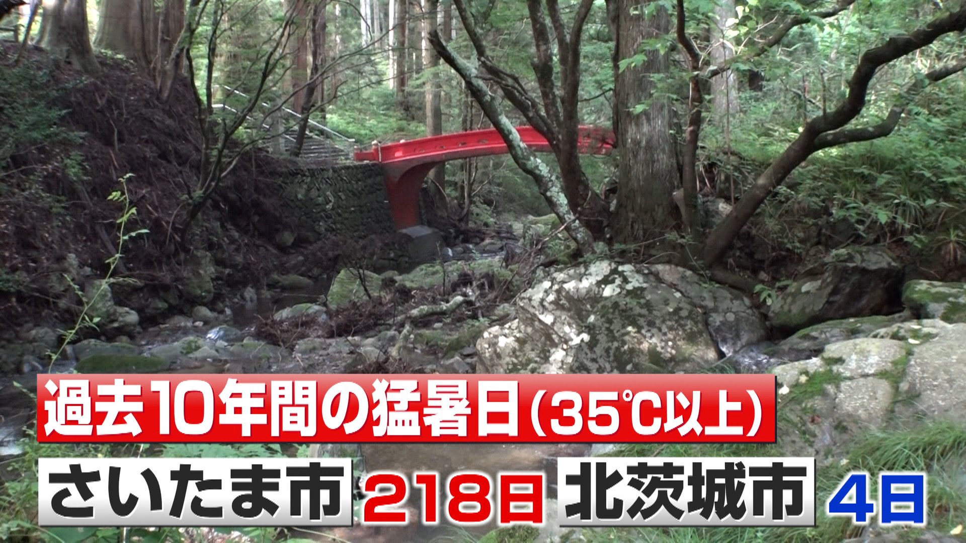 猛暑で注目“関東一涼しい街”北茨城市を緊急取材！移住&観光客が急増中「10年で猛暑日がわずか4日」
