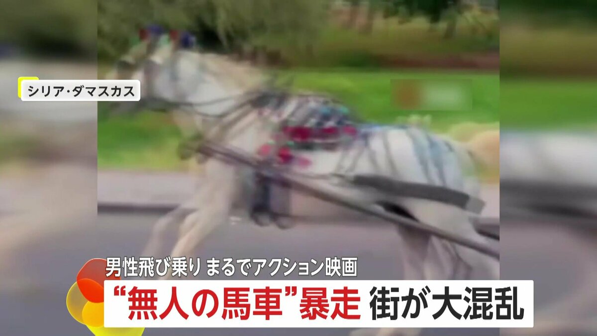 馬車が走る 無人の馬車”が暴走で大混乱 車追い越しぶつかりガツガツ突進 男性が
