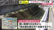宮城野区の小学校近くにクマ出没　宮城県警はライフル銃の駆除チーム運用開始〈仙台市〉