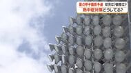 熱中症対策どうしてる？　夏の甲子園県予選　球児は？観客は？