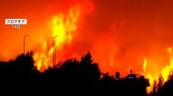 ベルギー“史上最悪”の山火事　14日に発生　16日までに東京ドーム640個分が焼失　ヨーロッパ各国が支援も延焼続き鎮火に至らず