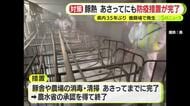 豚熱確認で約2300頭の殺処分終える　18日には消毒などすべての作業を終える見通し　国が感染経路などを調査
