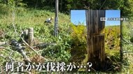 写真撮るため？「くしろ湿原ノロッコ号」ラストラン目前に線路脇の樹木など伐採か　JR北海道「警察への被害届提出も検討」