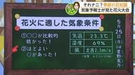 花火に適した気象条件とは？佐賀城下花火大会が美しかった理由を気象予報士が解説【佐賀県】