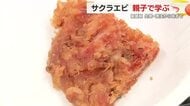 秋漁の最盛期　駿河湾の宝石「サクラエビ」学ぶイベント　生態・漁法から味まで親子で理解深める