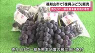 福知山市で「復興ぶどう」販売　13年前の台風で大きな被害を受け水害に強いブドウを栽培　売り上げの一部を熊本地震の被災地に寄付