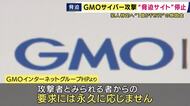 「攻撃者はプロではなくAI利用の“素人”か」専門家　GMOサイバー攻撃「身代金の減額や丁寧すぎる脅迫に違和感」指摘
