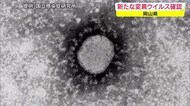 岡山県で新たな変異ウイルス確認 由来国不明 ワクチン効果低下の可能性【岡山】