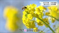 みやざき旅♯1月の風景