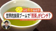 “抹茶バブル”の影響で「煎茶」ピンチ？生産量減少で価格高騰…一番茶は前年より1000円超値上がり　抹茶に栽培切り替える農家も