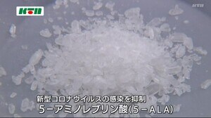 コロナ感染を天然アミノ酸が抑制する効果を発見 長崎大学とネオファーマジャパン