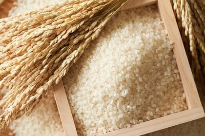「白米を買いだめ」は全体の約5.8%|白米の価格と供給状態に関するアンケート