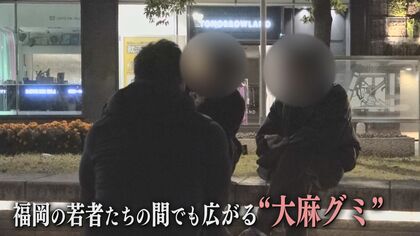 福岡でも“大麻グミ”　SNSで在庫確認…若者直撃「はやっている」　専門家警鐘「安全ではないと認識を」
