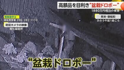 高額品を目利き“盆栽ドロボー”　33点1880万円相当の被害に…盆栽専門店のオーナー「腹が立つ」　熊本・御船町