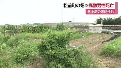 死因は熱中症の可能性も　松前町の畑で倒れていた８０歳男性が死亡　愛媛は各地で猛暑日に【愛媛】　