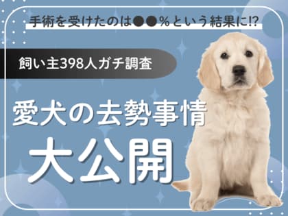 【飼い主398人に調査】愛犬の去勢に踏み切ったのは●●%!葛藤と安心のリアルエピソード集