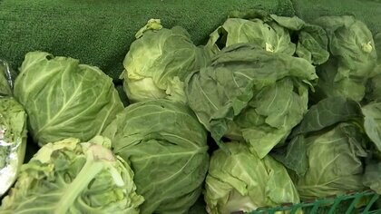 愛知県産 キャベツ 10kg | 業務仕入・見積なら食品卸売の生鮮