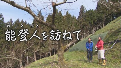 糖度30以上!?驚きの栗を生み出した農家にも壊滅的な被害をもたらした能登半島地震…”能登人を訪ねて”能登栗を後世に伝えるために再び立ち上がる