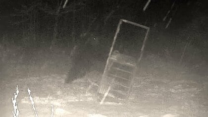 【ヒグマ速報】体重400kgの巨大グマが“箱わな”を破壊…都市間バスが道路上を走るクマと衝突…出没相次ぐ中で対策会議 猟友会からは「駆除は警察や自衛隊に対応してもらえればいい」との声も