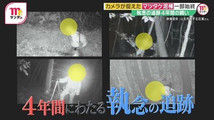 “先代”の泥棒から引き継ぎ60年以上も山に…「マツタケ泥棒」執念の追跡4年間　カメラが捉えた確保の瞬間