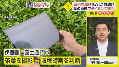 新茶の収穫をAIがお助け　茶葉を撮影してタイミングを判断【ネタプレ経済部】